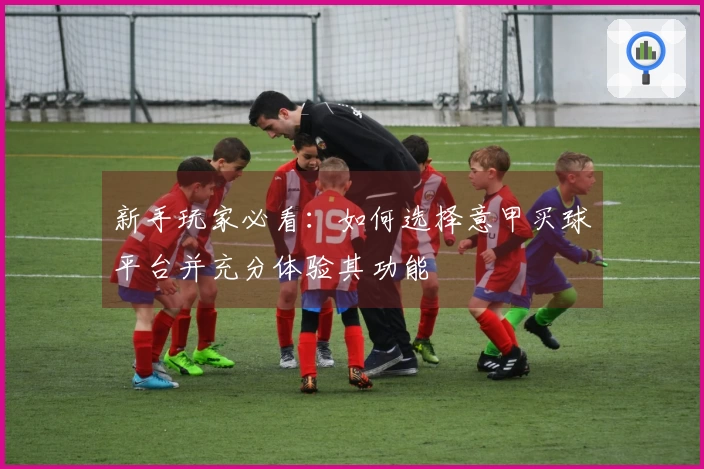 新手玩家必看：如何选择意甲买球平台并充分体验其功能